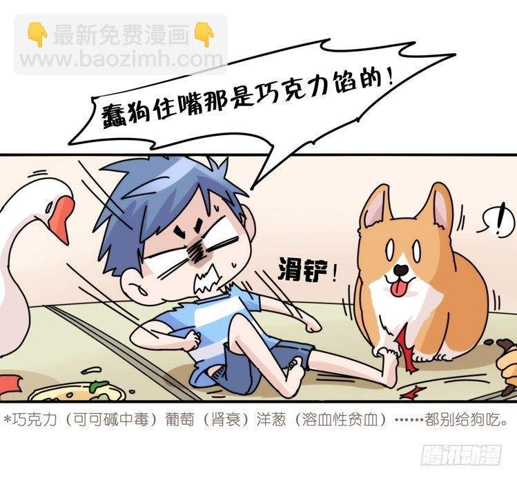 家有鹅霸：万事开头难