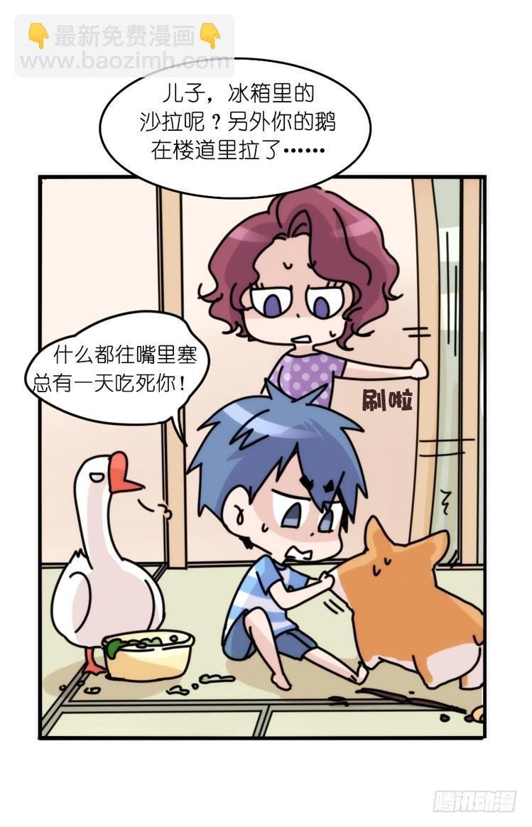 家有鹅霸：万事开头难