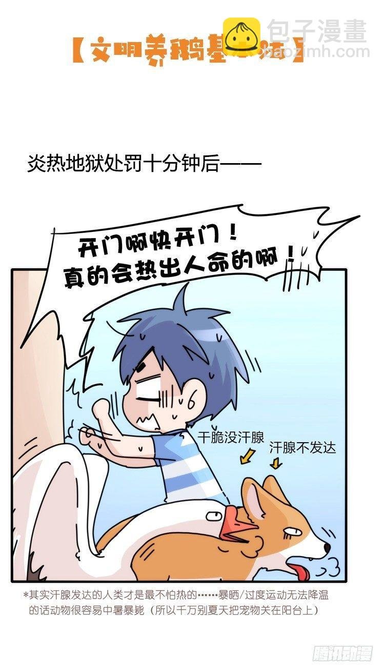 家有鹅霸：文明养鹅基本法