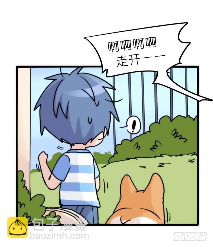 家有鹅霸：文明养鹅基本法