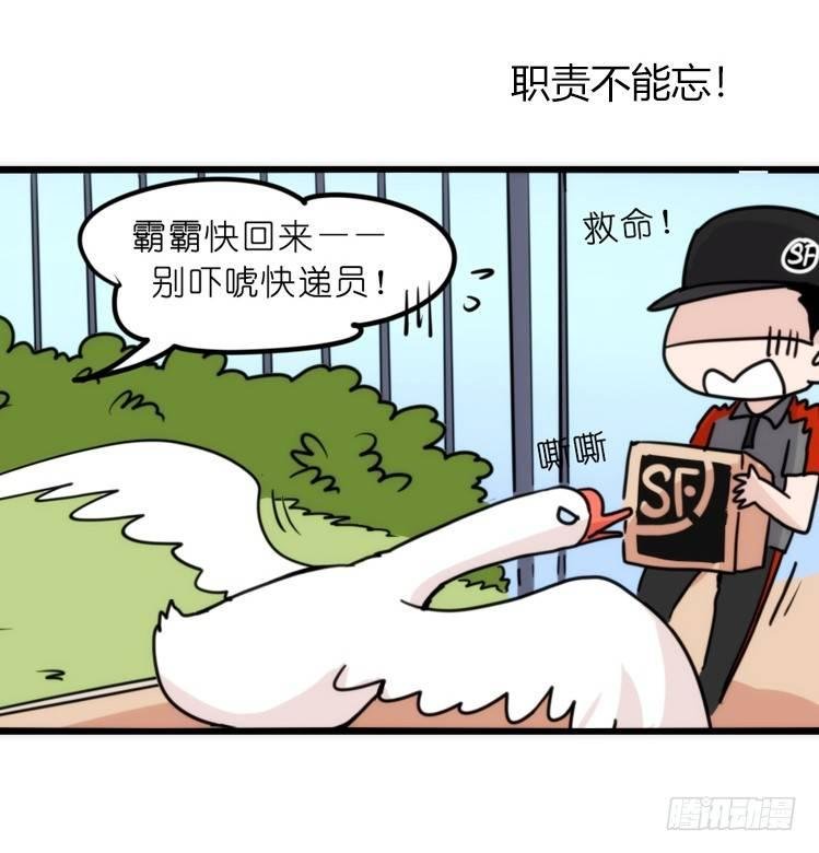 家有鹅霸：文明养鹅基本法