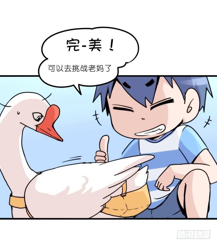 家有鹅霸：文明养鹅基本法