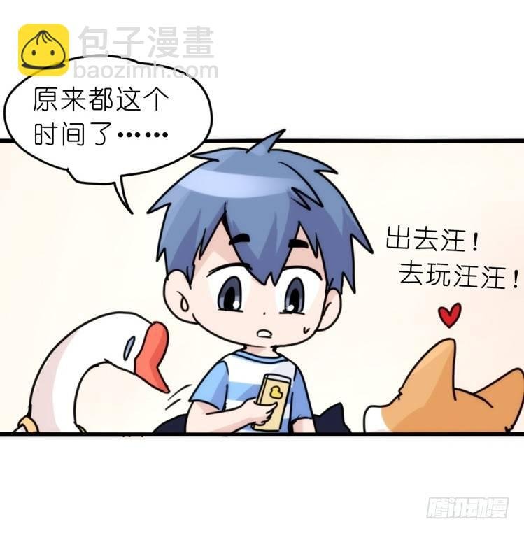 家有鹅霸：文明养鹅基本法