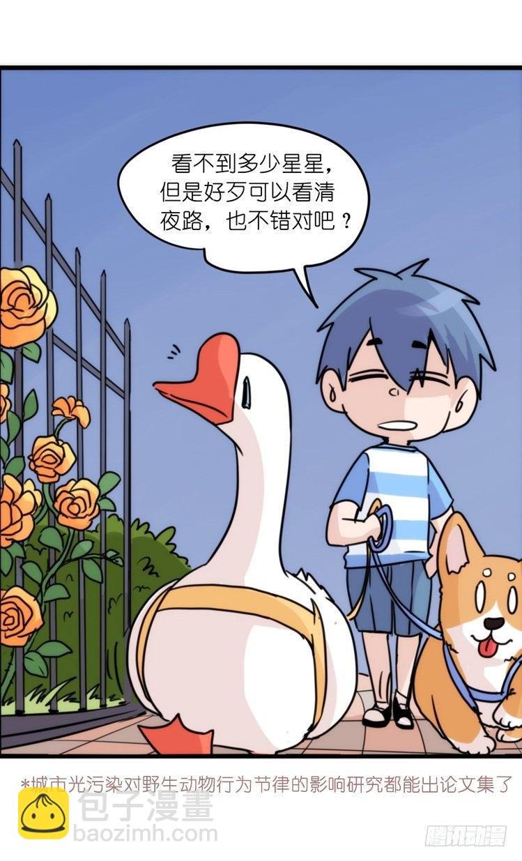 家有鹅霸：文明养鹅基本法