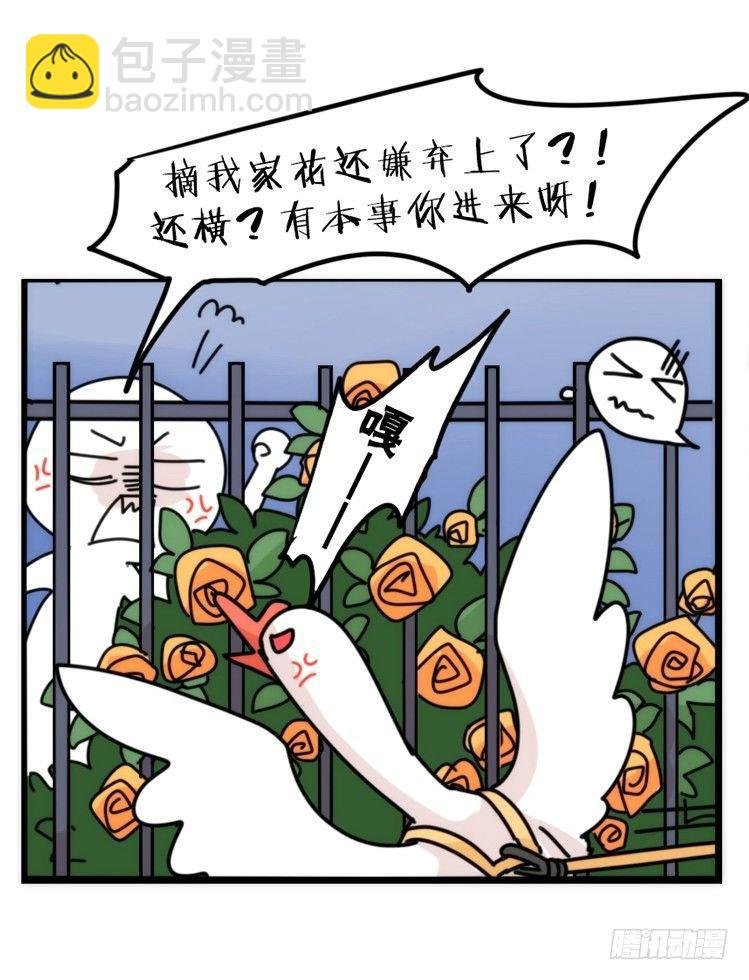 家有鹅霸：文明养鹅基本法