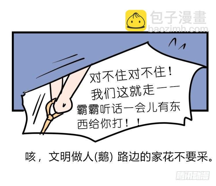 家有鹅霸：文明养鹅基本法