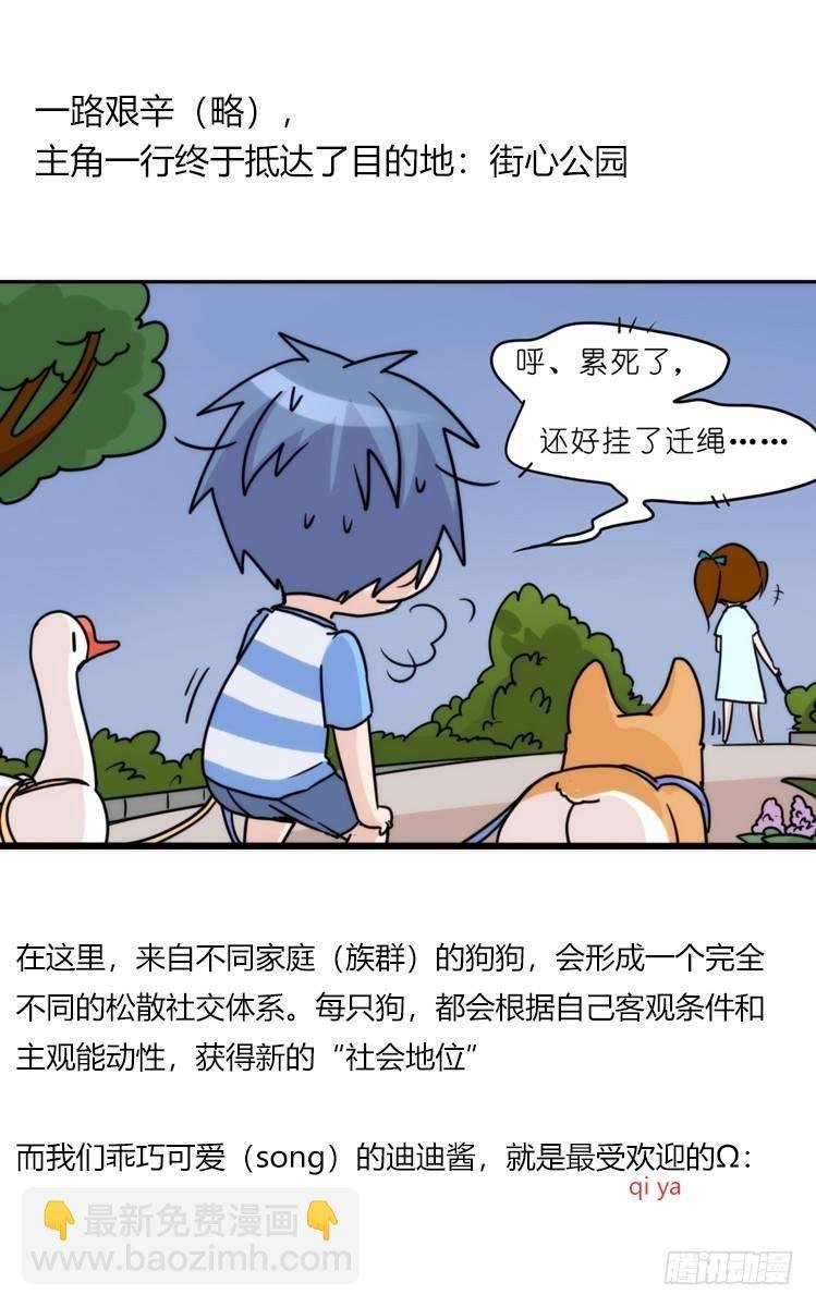 家有鹅霸：文明养鹅基本法