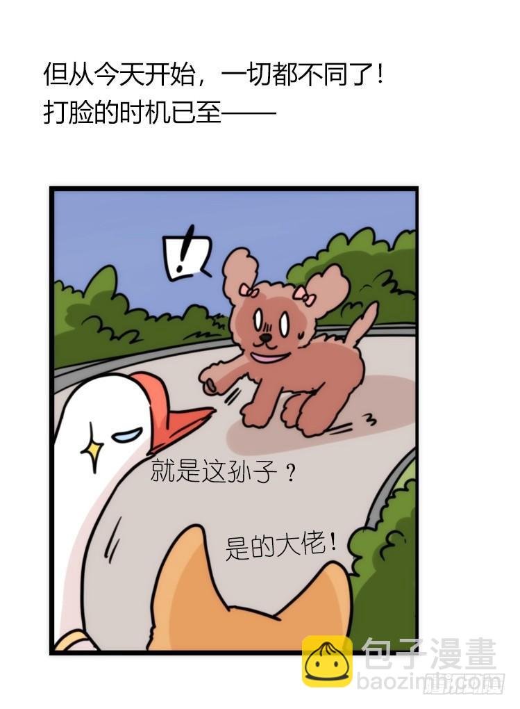 家有鹅霸：文明养鹅基本法