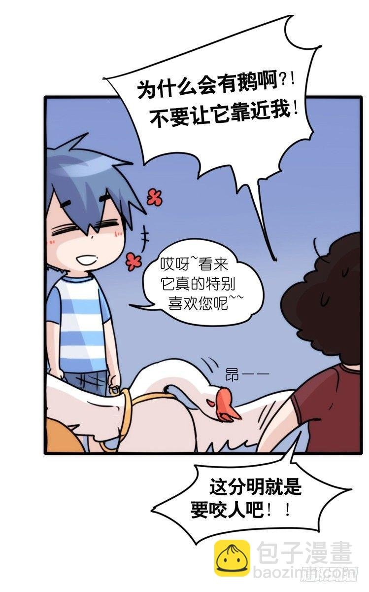 家有鹅霸：文明养鹅基本法