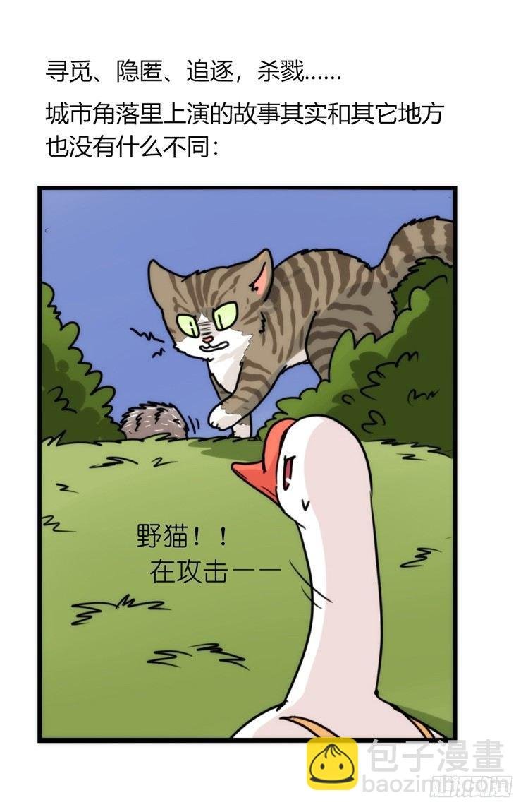 家有鹅霸：文明养鹅基本法