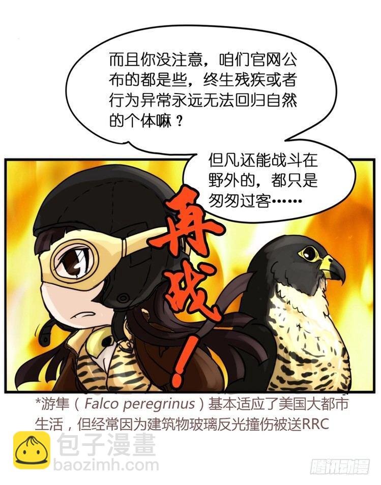 飞吧小少爷：网红风波·下