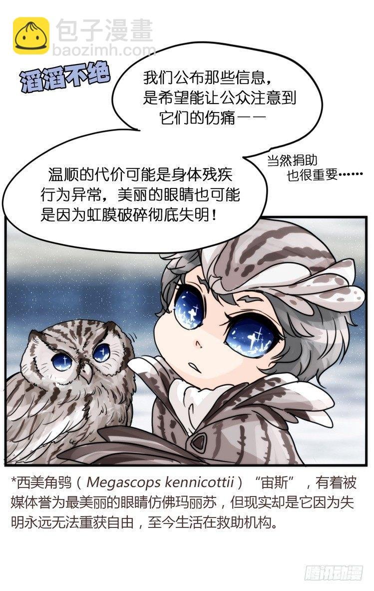 飞吧小少爷：网红风波·下