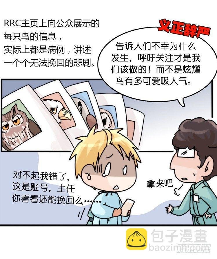飞吧小少爷：网红风波·下