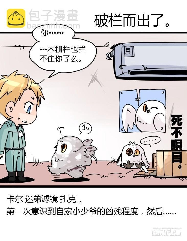 飞吧小少爷：网红风波·下