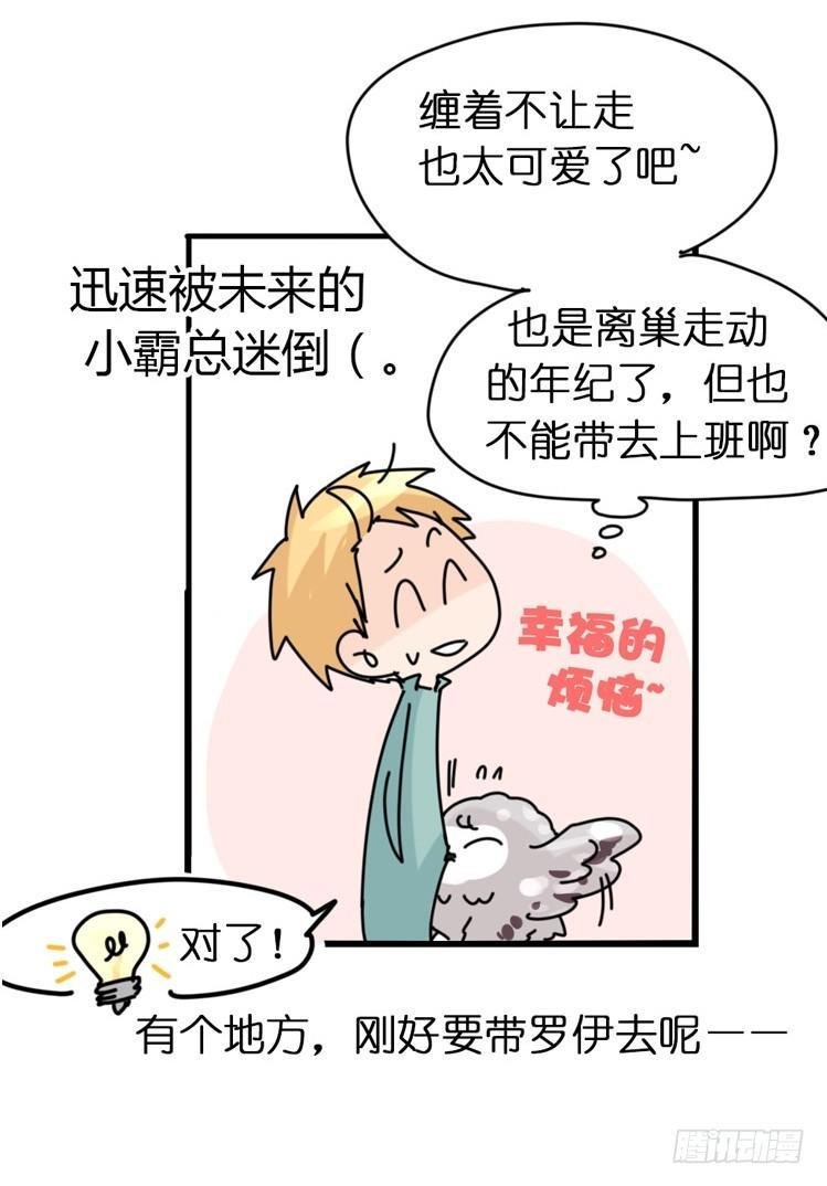 飞吧小少爷：网红风波·下