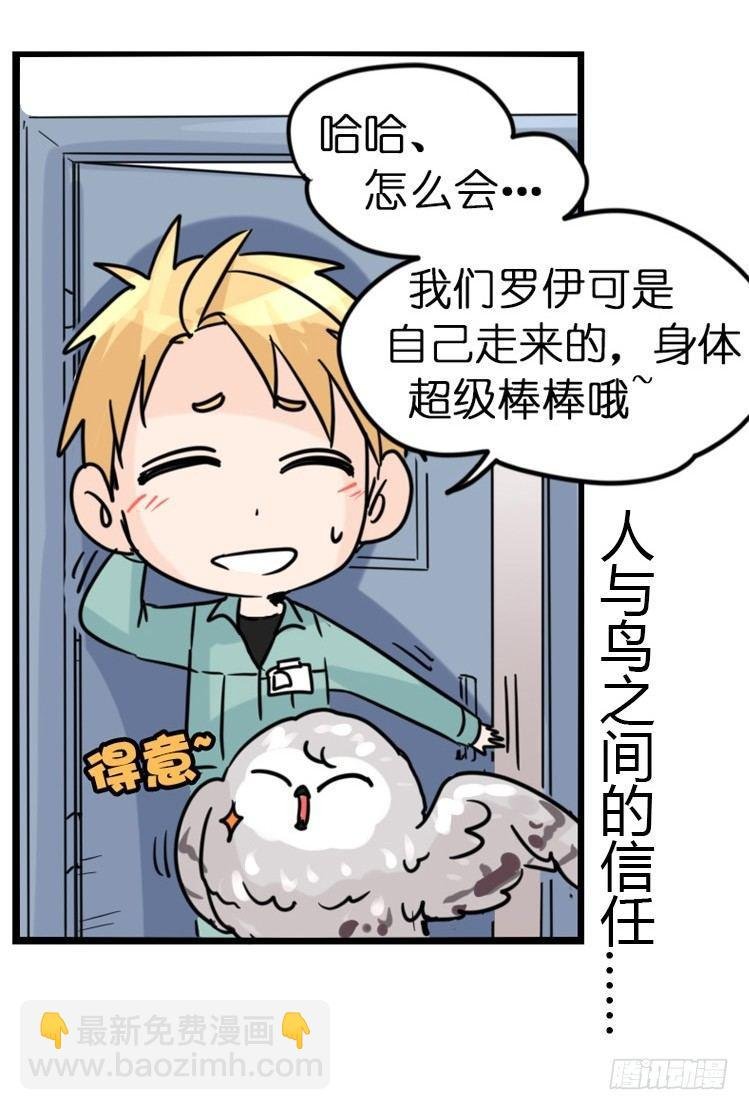 飞吧小少爷：网红风波·下