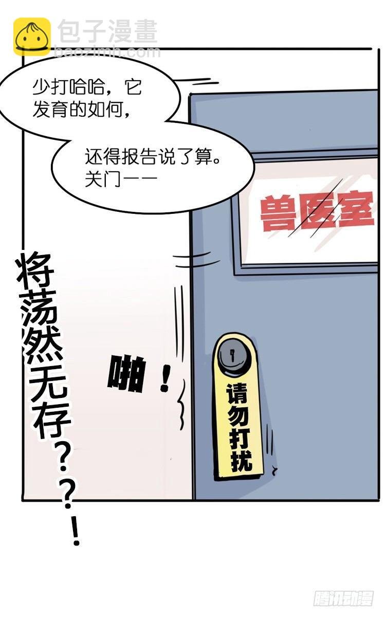 飞吧小少爷：网红风波·下