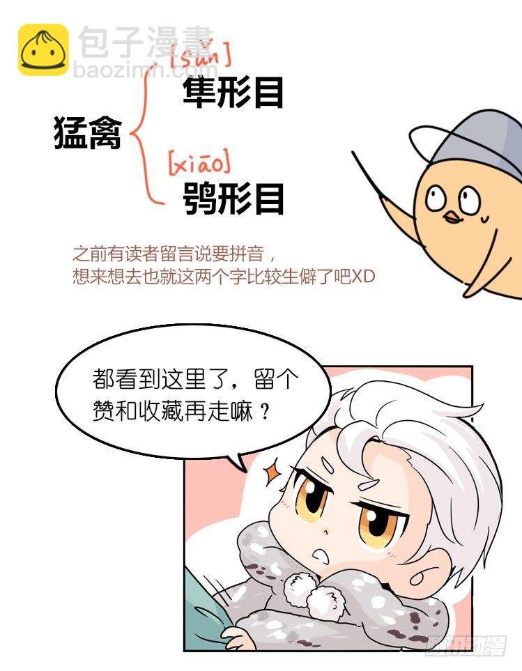 飞吧小少爷：网红风波·下