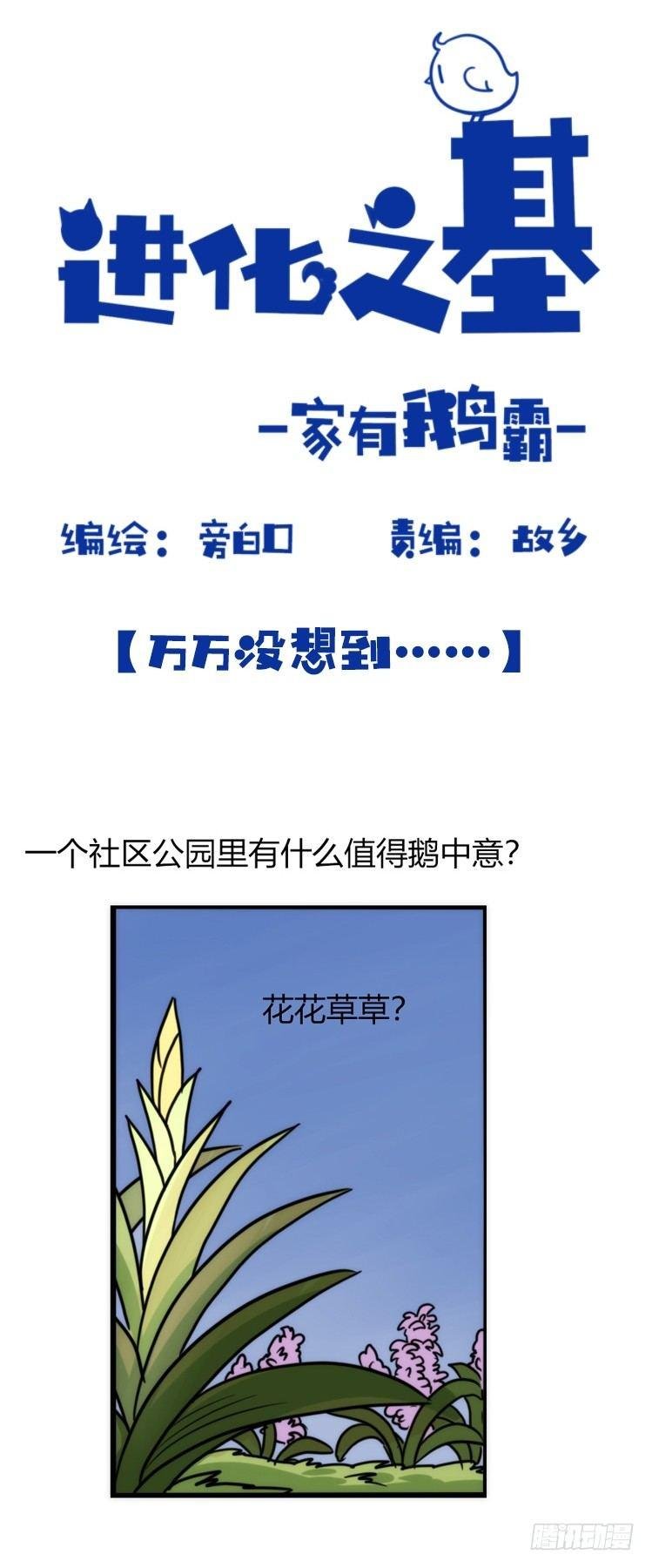 家有鹅霸：意想不到的弱点？