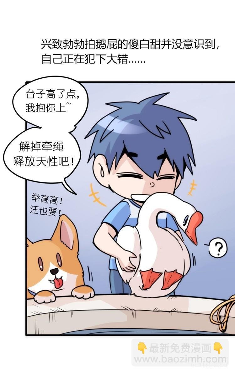 家有鹅霸：意想不到的弱点？