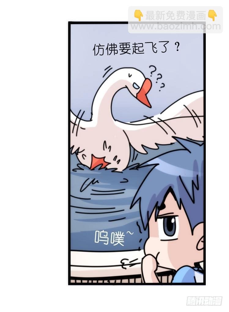 家有鹅霸：意想不到的弱点？