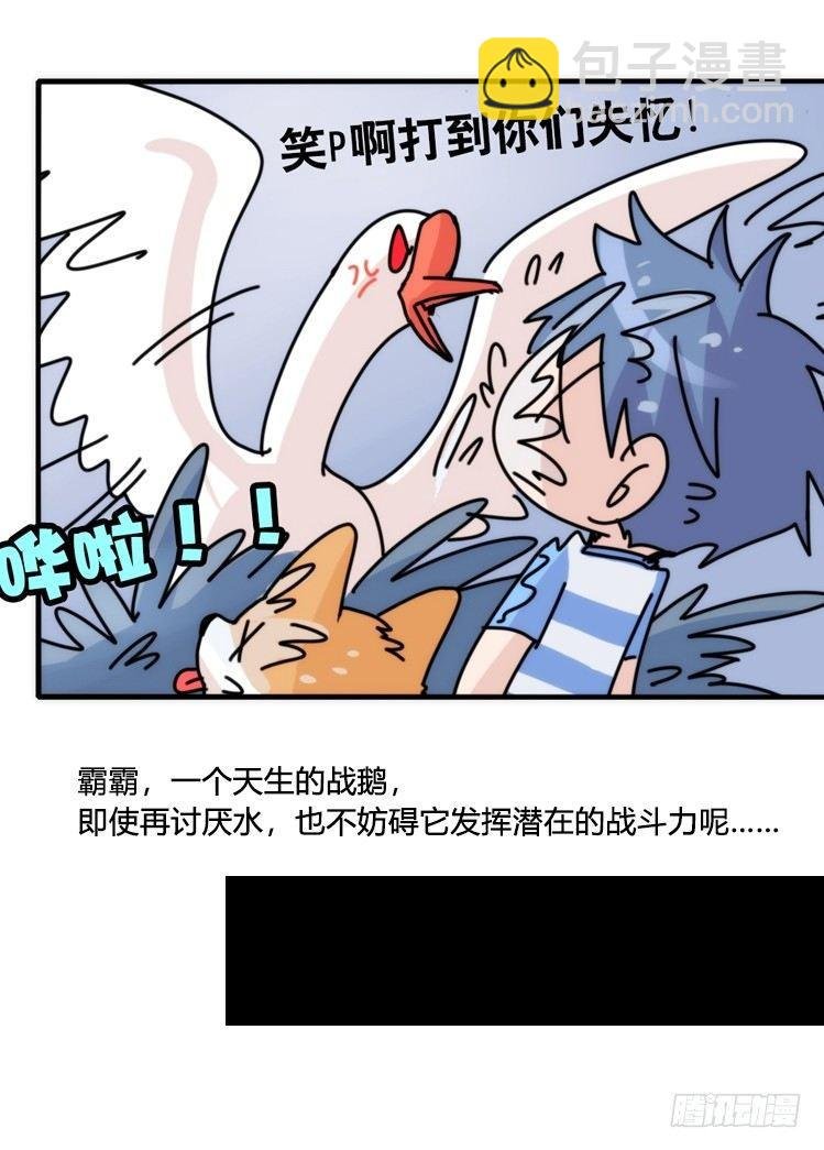 家有鹅霸：意想不到的弱点？