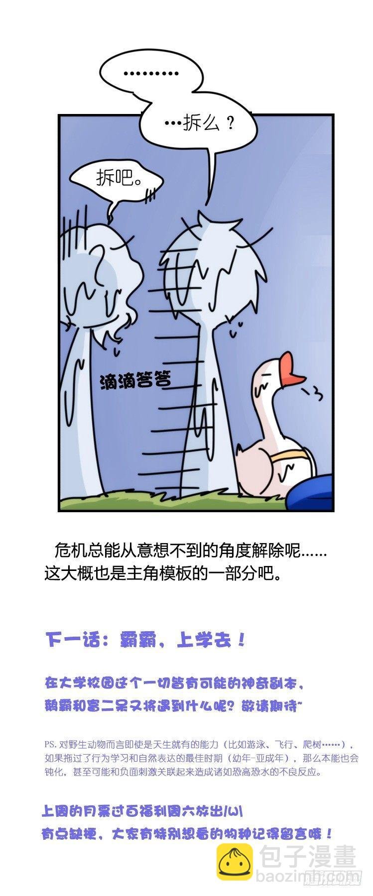 家有鹅霸：意想不到的弱点？