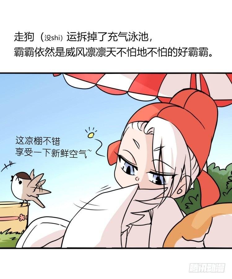 家有鹅霸：带着大鹅上学去~