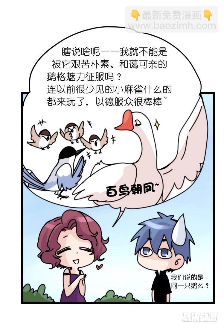 家有鹅霸：带着大鹅上学去~