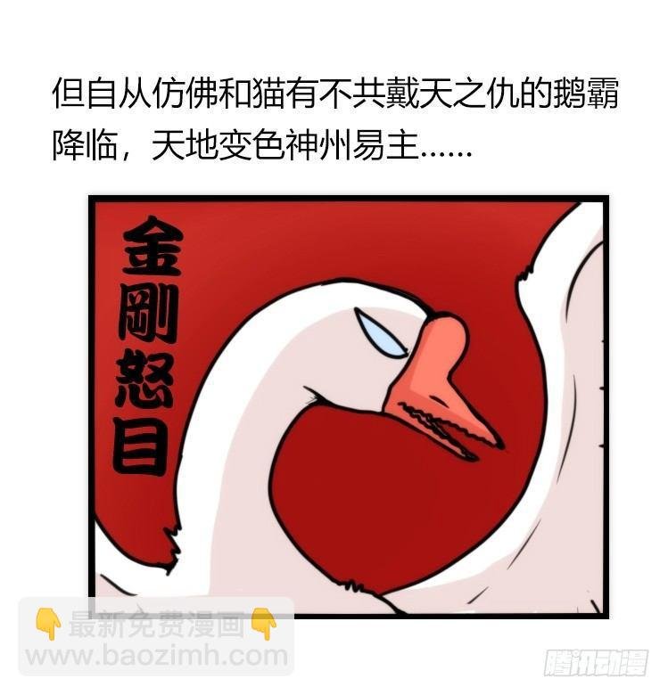 家有鹅霸：带着大鹅上学去~