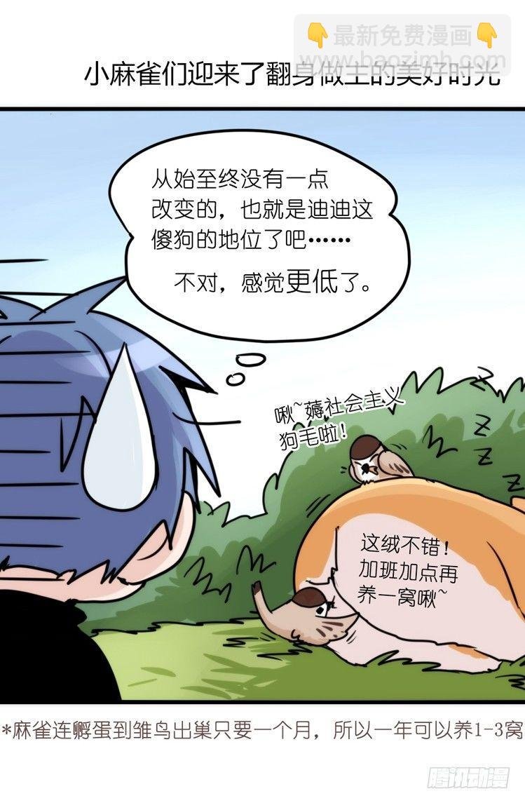 家有鹅霸：带着大鹅上学去~