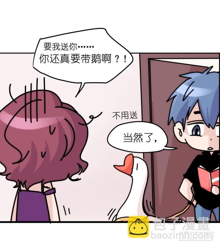 家有鹅霸：带着大鹅上学去~