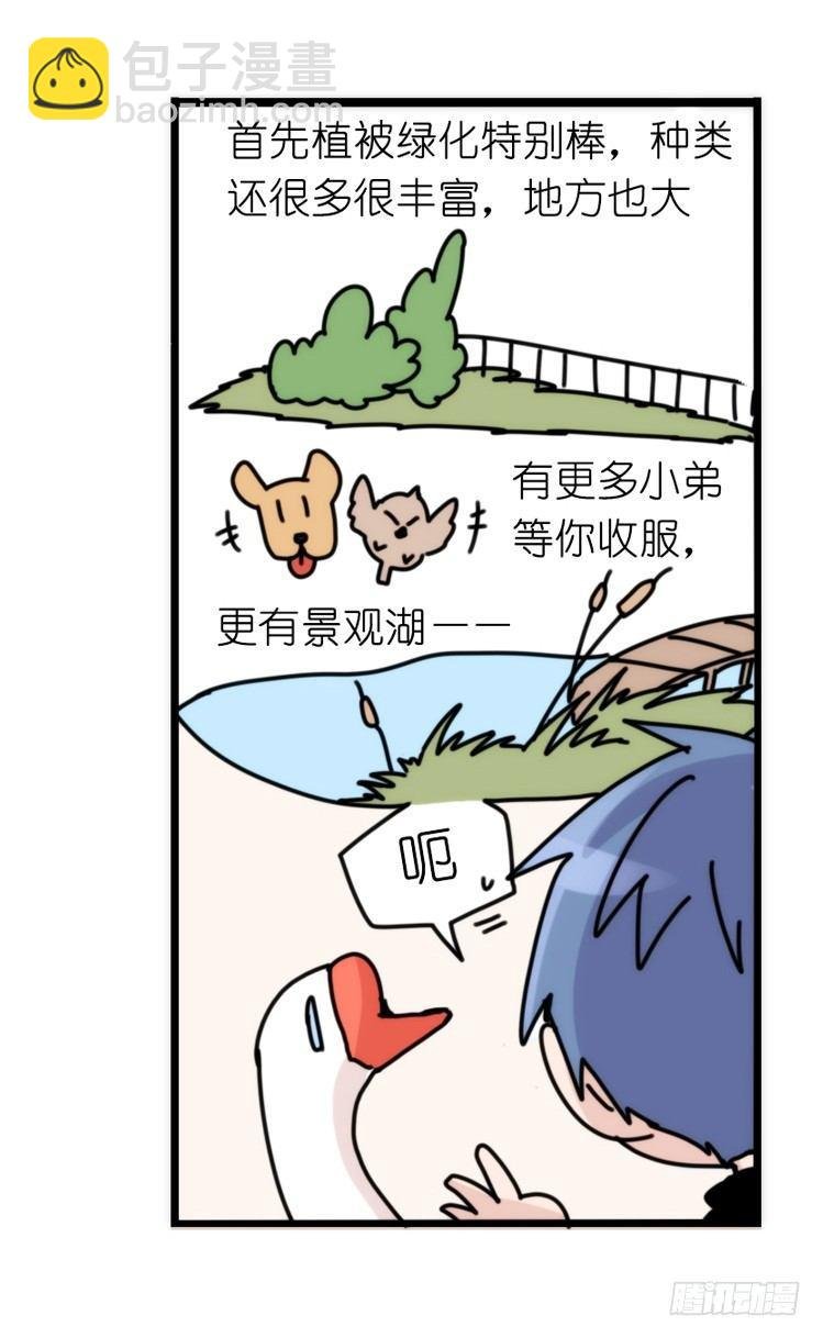 家有鹅霸：带着大鹅上学去~