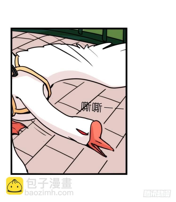 家有鹅霸：和说好的不一样啊！？