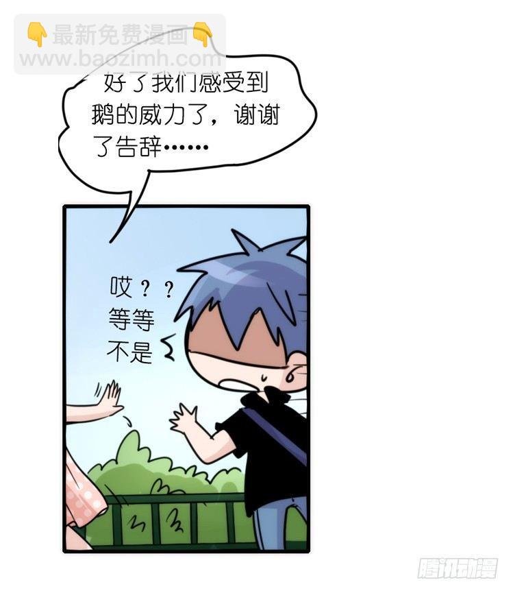 家有鹅霸：和说好的不一样啊！？