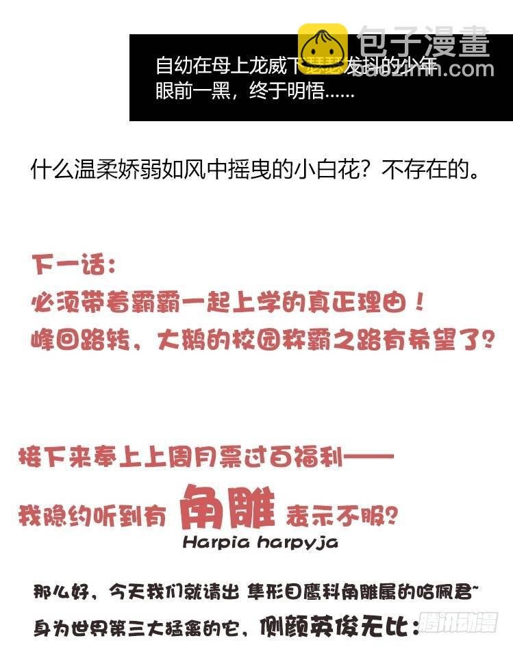 家有鹅霸：和说好的不一样啊！？
