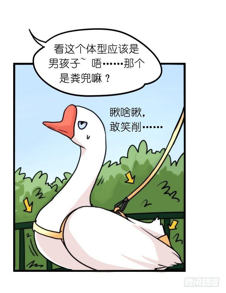 家有鹅霸：跳坑吧！