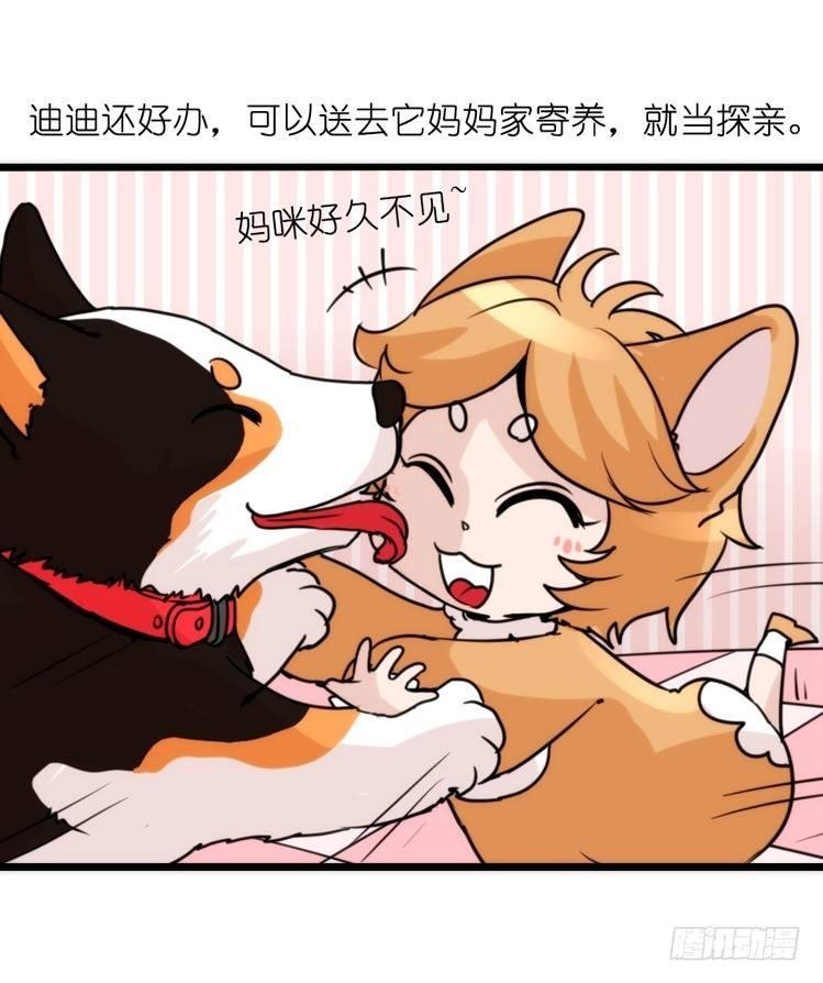 家有鹅霸：加入的理由