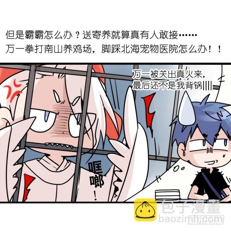 家有鹅霸：加入的理由