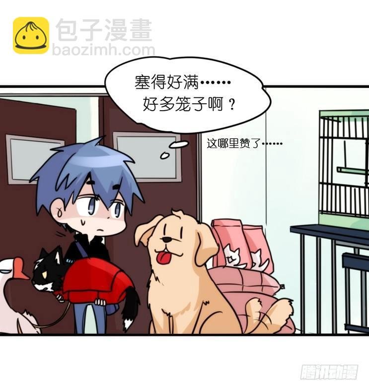 家有鹅霸：加入的理由