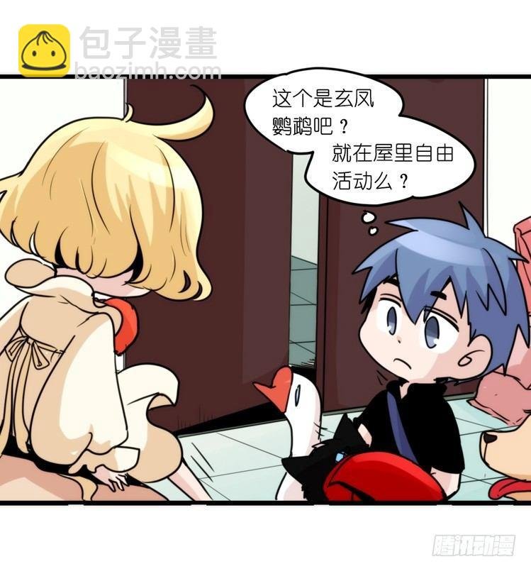 家有鹅霸：加入的理由