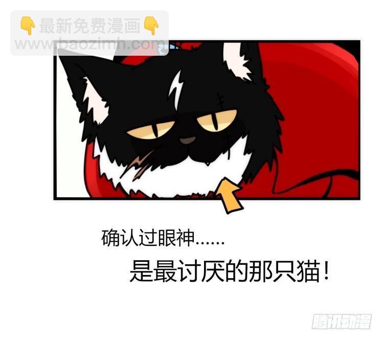 家有鹅霸：加入的理由