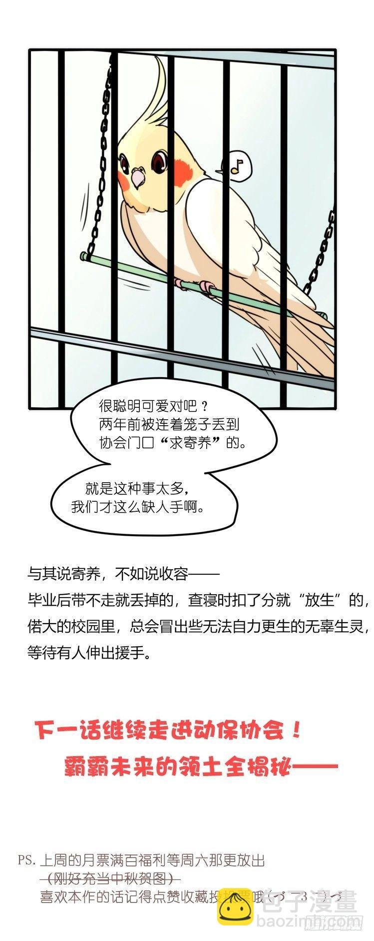 家有鹅霸：加入的理由