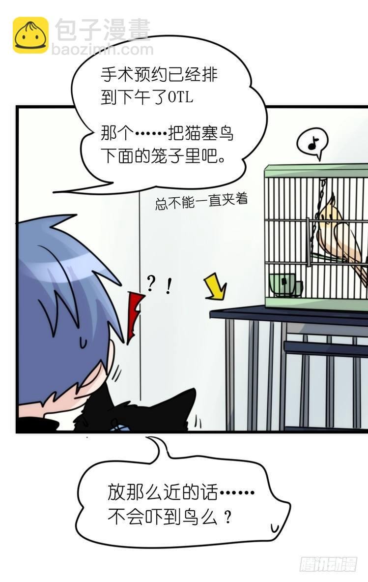 家有鹅霸：真霸霸，先包个塘
