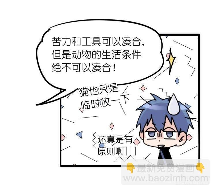 家有鹅霸：真霸霸，先包个塘