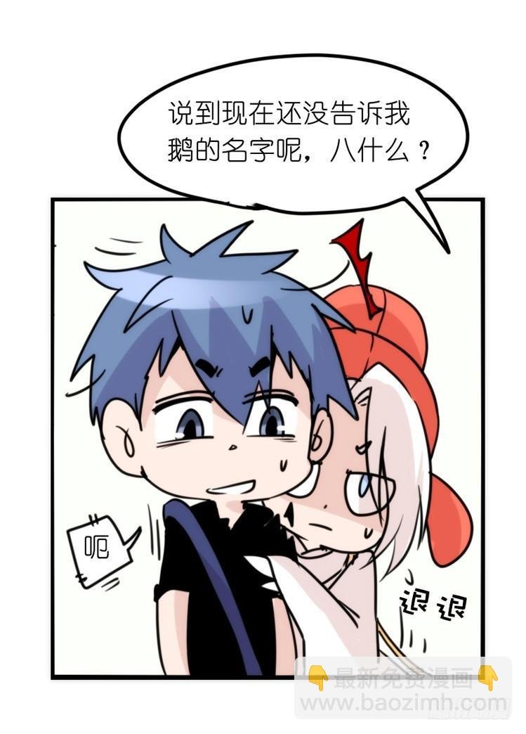 家有鹅霸：真霸霸，先包个塘