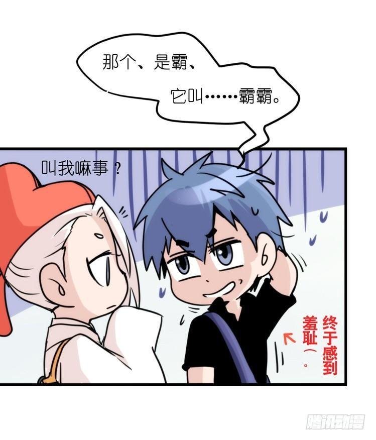 家有鹅霸：真霸霸，先包个塘
