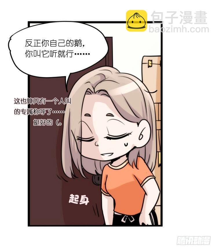 家有鹅霸：真霸霸，先包个塘