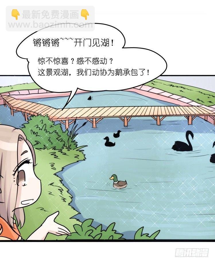 家有鹅霸：真霸霸，先包个塘