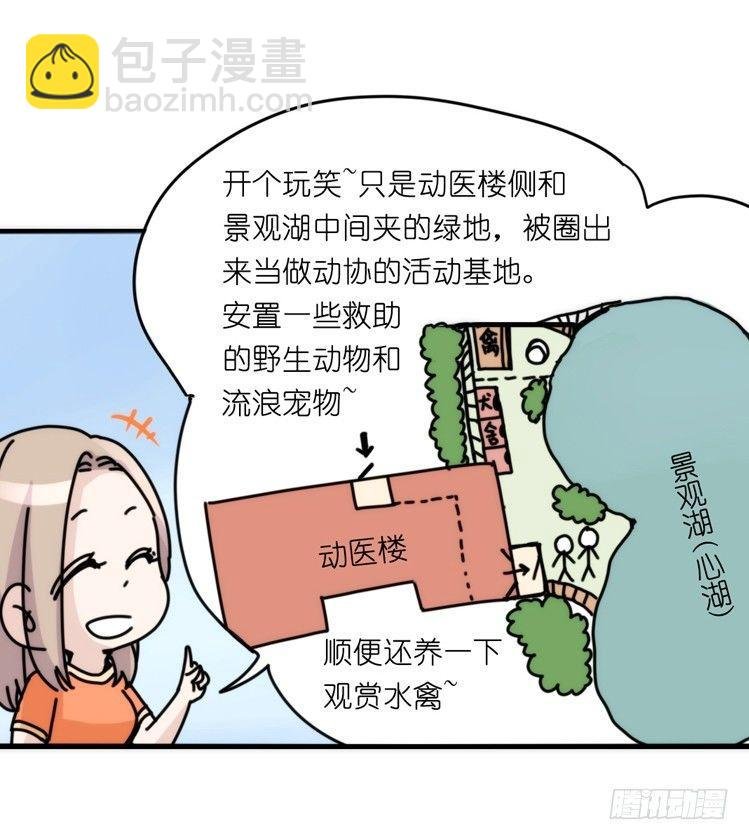 家有鹅霸：真霸霸，先包个塘